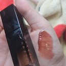 리베르타스 | 딘토 블러글로이 립 틴트 213 리베르타스 내돈내산 후기 + 앤디얼 그레이스 베이지와 비교