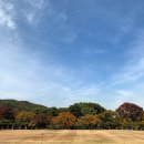 다가오는 겨울