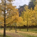 내린천 자연세상 이미지