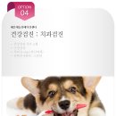 거제동물메디컬센터 이미지