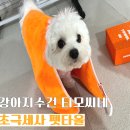 티모 | 강아지수건 티모씨네 초극세사 펫타올 후기 드라이시간 단축과 흡수력 끝판왕