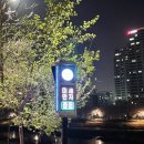안양천 공중화장실(철산주공13단지) | 철산역 안양천 벚꽃길 산책코스 (먹거리, 맛집, 주차 정보)