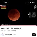 오양카 | 2025년 9월 일상 (1)