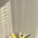 더담다 | 구미꽃집 마음을담다 방문 후기, 딸 생일에 더 특별했던 꽃다발