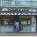 태성동물병원 이미지