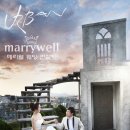 양선일 카카오 검색결과