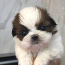 청주프로펫평생교육원