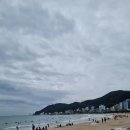 부산 송정해수욕장 송정카페 더레스트마린 // 송정맛집 수림식당