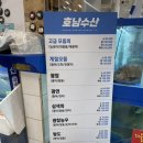 천가네수산 | 노량진 수산시장 솔직후기_호남수산 추천하는 이유⭐️