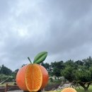 레몬비 효돈점 | 🌴제주 :: 셋째 날