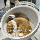 엘지전자(주)구미서비스센터 | 구미신혼가전은 여기서! 새봄맞이 구미가전세일 LG전자 베스트샵 인동점 사은품 빵빵