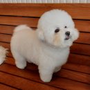 오구오구살롱 이미지