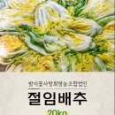 쌈지보령