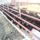 월천농장 이미지