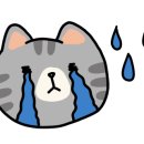 센트럴 곤충생태농장 이미지