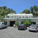 환희네 꿀벌농원 이미지