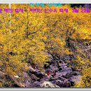 산동여관 이미지