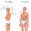 고려수지침 복현지회 이미지