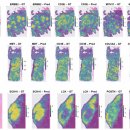 이브메디칼대구 이미지
