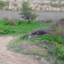 여주-1115 이미지