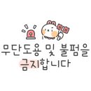 나엘리키즈룸 이미지
