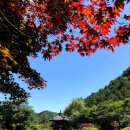 플룻 (고급) 이미지