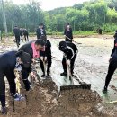 경기도 안성시청 이미지