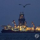 대왕 이미지