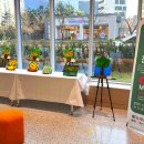 양천도서관 이미지