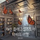 THE공감안경 | 카린 성수 플래그십 스토어 𝐁𝐮𝐭𝐭𝐞𝐫𝐟𝐥𝐲'𝐬 𝐉𝐨𝐮𝐫𝐧𝐞𝐲 전시 후기
