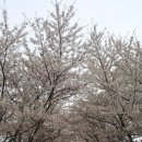 동광농장 이미지