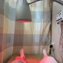 동탄뿌리한의원 | 동탄 뿌리한의원 방문기