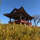 사랑의 하트 💖 부탁드려요 ~~(고 남인수 선생 고향 진주, 논개의 얼이 서려있는 ~~촉석루 이미지