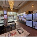 대구펫 강아지분양 고양이분양 이미지