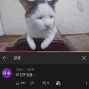 냠냠 이미지