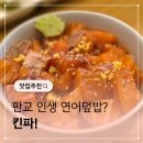 분당판교-A-106 | 판교 일식 맛집 킨파, 직장인 점심 추천