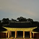달빛 거북이 이미지