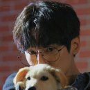파마