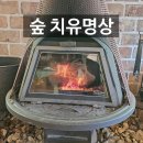 당일치기 워크숍을 위한 장소, 울주 수목원에서의 치유여행