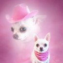 효자효치과 | 막학기 블로그입니다