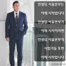 보라인셀덤 이미지