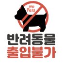 카페856 이미지