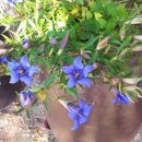 팔봉농장 이미지