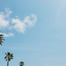 한영발전기 | 제주도 골프투어1일차~ 세인트포cc 마레코스,비타코스 라운딩 다녀왔어요~