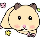 타워짐 피트니스 헬스 이미지