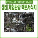 영주시부석면상석보건진료소 | 언택트 시대 비대면 여행 생태 체험과 자연 학습의 장 백로서석지