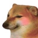 가오도서관 | JLPT N3 2달 공부 합격 후기