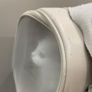 호수동물병원 | 잠실 동물병원 석촌호수 동물병원 고양이 설사 났을때 병원 후기!