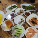 울릉도회참치