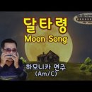 달타령(Am/C) - 김부자 노래 이미지